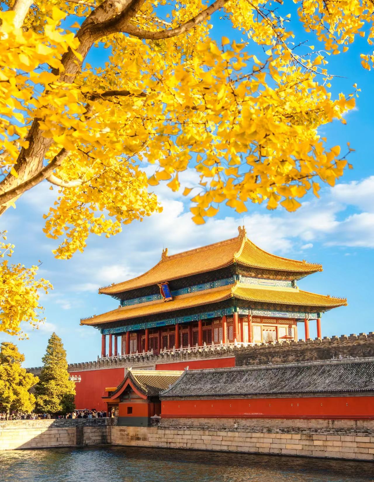 Tiananmen Square & Forbidden City 