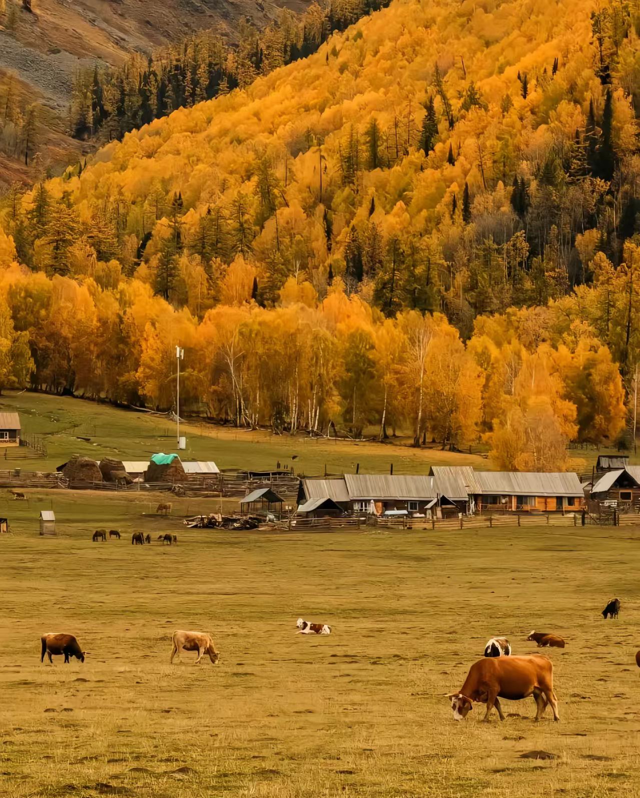 Autumn Travel in China: Best Foliage, Mountains & Scenic Destinations (2026 Guide)